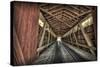 USA, Indiana, Carroll County. Lancaster Covered Bridge-Rona Schwarz-Stretched Canvas