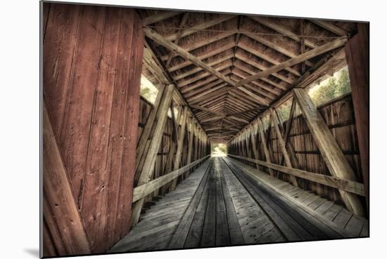 USA, Indiana, Carroll County. Lancaster Covered Bridge-Rona Schwarz-Mounted Photographic Print