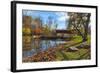 USA, Indiana, Cataract Falls State Recreation Area, Covered Bridge-Rona Schwarz-Framed Photographic Print