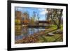 USA, Indiana, Cataract Falls State Recreation Area, Covered Bridge-Rona Schwarz-Framed Photographic Print