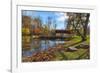 USA, Indiana, Cataract Falls State Recreation Area, Covered Bridge-Rona Schwarz-Framed Photographic Print