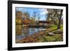 USA, Indiana, Cataract Falls State Recreation Area, Covered Bridge-Rona Schwarz-Framed Photographic Print