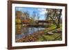 USA, Indiana, Cataract Falls State Recreation Area, Covered Bridge-Rona Schwarz-Framed Photographic Print