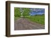 USA, Indiana. Ft. Ouiatenon Landscape-Rona Schwarz-Framed Photographic Print