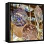 USA, Indiana. Hanging glass ornaments and baubles.-Deborah Winchester-Framed Stretched Canvas