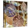 USA, Indiana. Hanging glass ornaments and baubles.-Deborah Winchester-Stretched Canvas