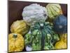 USA, Indiana, Indianapolis. Close-up of gourds.-Jaynes Gallery-Mounted Photographic Print