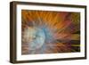 USA, Indiana, Indianapolis, State Fair. Abstract of Ferris Wheel-Jaynes Gallery-Framed Photographic Print