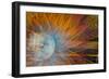 USA, Indiana, Indianapolis, State Fair. Abstract of Ferris Wheel-Jaynes Gallery-Framed Photographic Print