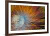 USA, Indiana, Indianapolis, State Fair. Abstract of Ferris Wheel-Jaynes Gallery-Framed Photographic Print