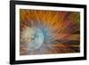 USA, Indiana, Indianapolis, State Fair. Abstract of Ferris Wheel-Jaynes Gallery-Framed Photographic Print