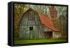 USA, Indiana. Rural Landscape, Vine Covered Barn with Red Roof-Rona Schwarz-Framed Stretched Canvas