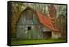 USA, Indiana. Rural Landscape, Vine Covered Barn with Red Roof-Rona Schwarz-Framed Stretched Canvas