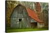 USA, Indiana. Rural Landscape, Vine Covered Barn with Red Roof-Rona Schwarz-Stretched Canvas