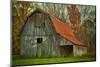 USA, Indiana. Rural Landscape, Vine Covered Barn with Red Roof-Rona Schwarz-Mounted Premium Photographic Print