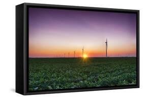 USA, Indiana. Soybean Field and Wind Farm at Sundown-Rona Schwarz-Framed Stretched Canvas