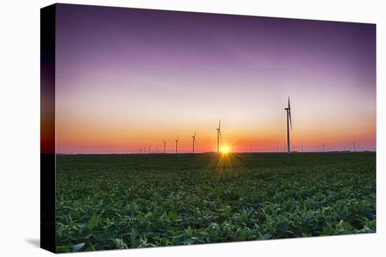 USA, Indiana. Soybean Field and Wind Farm at Sundown-Rona Schwarz-Stretched Canvas