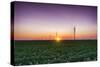 USA, Indiana. Soybean Field and Wind Farm at Sundown-Rona Schwarz-Stretched Canvas