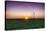 USA, Indiana. Soybean Field and Wind Farm at Sundown-Rona Schwarz-Stretched Canvas