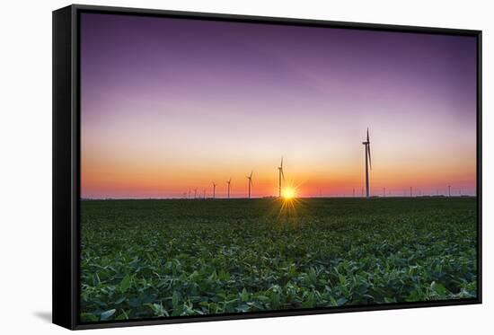 USA, Indiana. Soybean Field and Wind Farm at Sundown-Rona Schwarz-Framed Stretched Canvas