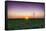 USA, Indiana. Soybean Field and Wind Farm at Sundown-Rona Schwarz-Framed Stretched Canvas