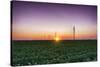 USA, Indiana. Soybean Field and Wind Farm at Sundown-Rona Schwarz-Stretched Canvas