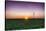 USA, Indiana. Soybean Field and Wind Farm at Sundown-Rona Schwarz-Stretched Canvas