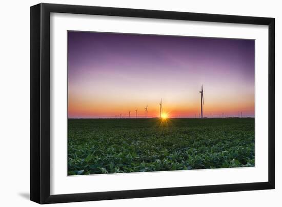 USA, Indiana. Soybean Field and Wind Farm at Sundown-Rona Schwarz-Framed Photographic Print