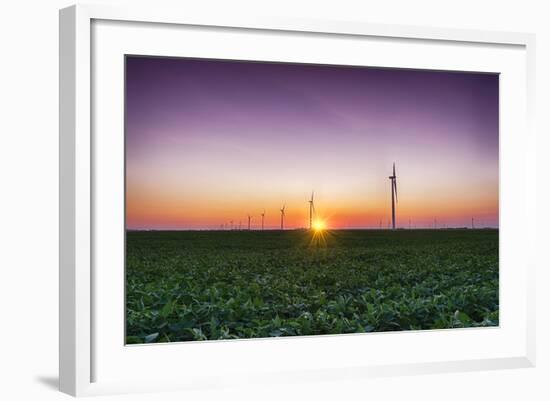 USA, Indiana. Soybean Field and Wind Farm at Sundown-Rona Schwarz-Framed Photographic Print