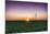 USA, Indiana. Soybean Field and Wind Farm at Sundown-Rona Schwarz-Mounted Photographic Print