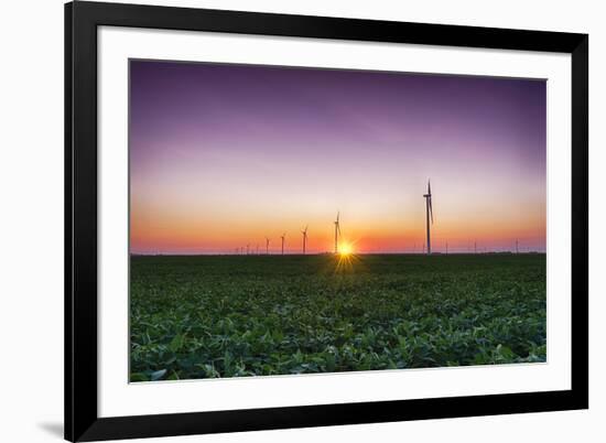 USA, Indiana. Soybean Field and Wind Farm at Sundown-Rona Schwarz-Framed Photographic Print