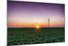 USA, Indiana. Soybean Field and Wind Farm at Sundown-Rona Schwarz-Mounted Photographic Print