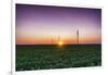 USA, Indiana. Soybean Field and Wind Farm at Sundown-Rona Schwarz-Framed Photographic Print