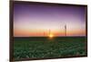 USA, Indiana. Soybean Field and Wind Farm at Sundown-Rona Schwarz-Framed Photographic Print