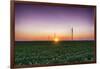 USA, Indiana. Soybean Field and Wind Farm at Sundown-Rona Schwarz-Framed Photographic Print