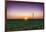 USA, Indiana. Soybean Field and Wind Farm at Sundown-Rona Schwarz-Framed Photographic Print