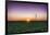 USA, Indiana. Soybean Field and Wind Farm at Sundown-Rona Schwarz-Framed Photographic Print