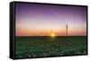 USA, Indiana. Soybean Field and Wind Farm at Sundown-Rona Schwarz-Framed Stretched Canvas