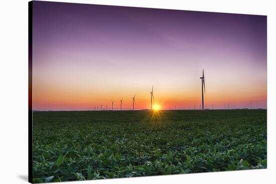 USA, Indiana. Soybean Field and Wind Farm at Sundown-Rona Schwarz-Stretched Canvas