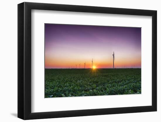 USA, Indiana. Soybean Field and Wind Farm at Sundown-Rona Schwarz-Framed Photographic Print