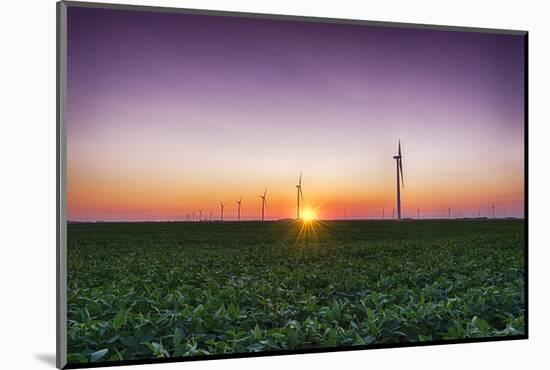 USA, Indiana. Soybean Field and Wind Farm at Sundown-Rona Schwarz-Mounted Photographic Print