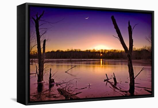 USA, Indiana, the Celery Bog Wetlands in Winter at Sunset-Rona Schwarz-Framed Stretched Canvas