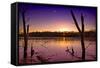 USA, Indiana, the Celery Bog Wetlands in Winter at Sunset-Rona Schwarz-Framed Stretched Canvas