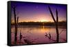 USA, Indiana, the Celery Bog Wetlands in Winter at Sunset-Rona Schwarz-Framed Stretched Canvas