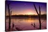 USA, Indiana, the Celery Bog Wetlands in Winter at Sunset-Rona Schwarz-Stretched Canvas