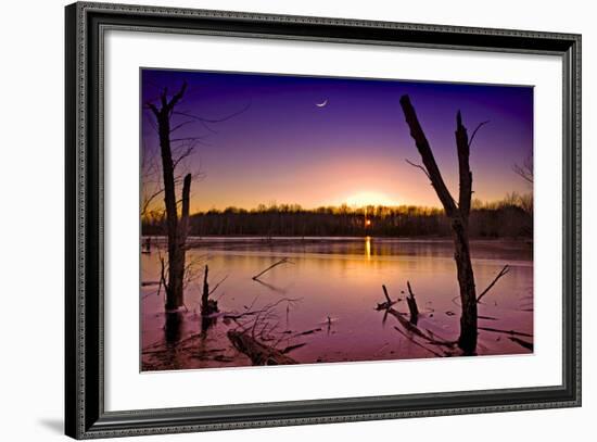 USA, Indiana, the Celery Bog Wetlands in Winter at Sunset-Rona Schwarz-Framed Photographic Print