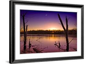 USA, Indiana, the Celery Bog Wetlands in Winter at Sunset-Rona Schwarz-Framed Photographic Print