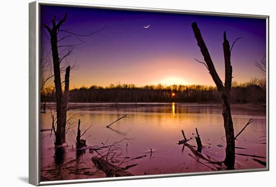 USA, Indiana, the Celery Bog Wetlands in Winter at Sunset-Rona Schwarz-Framed Photographic Print