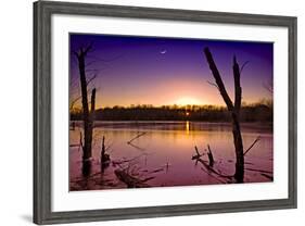 USA, Indiana, the Celery Bog Wetlands in Winter at Sunset-Rona Schwarz-Framed Photographic Print