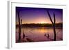 USA, Indiana, the Celery Bog Wetlands in Winter at Sunset-Rona Schwarz-Framed Photographic Print